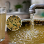Dirty Water and Hidden Contaminants